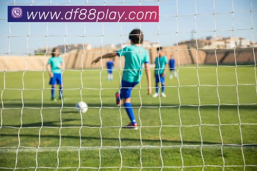 大发彩票APP 封面图